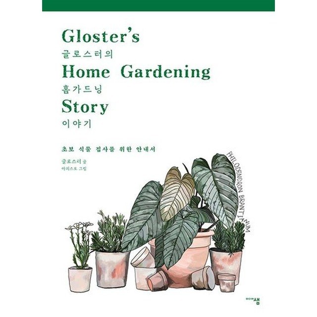 글로스터 이미지