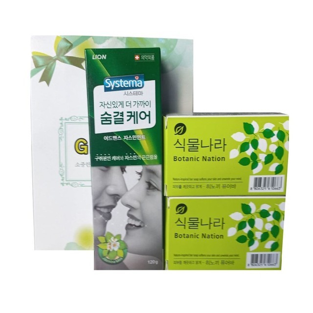 라이온 이미지