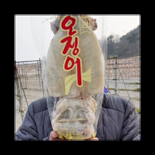 지삼유통 이미지