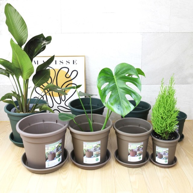 화분팜 이미지