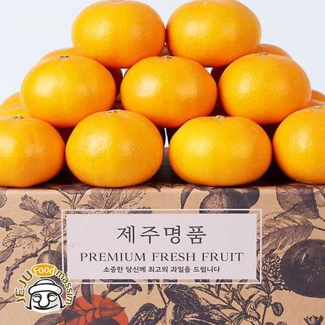 곱다시제주 이미지