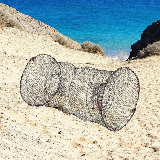 통발 이미지