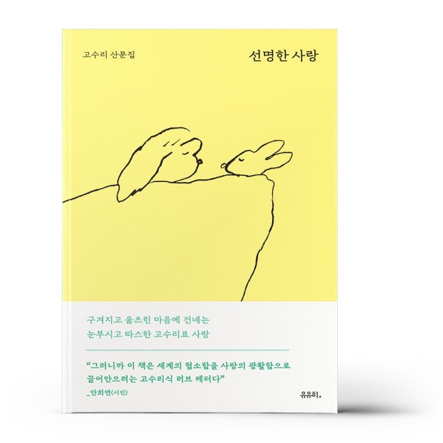 선명 이미지