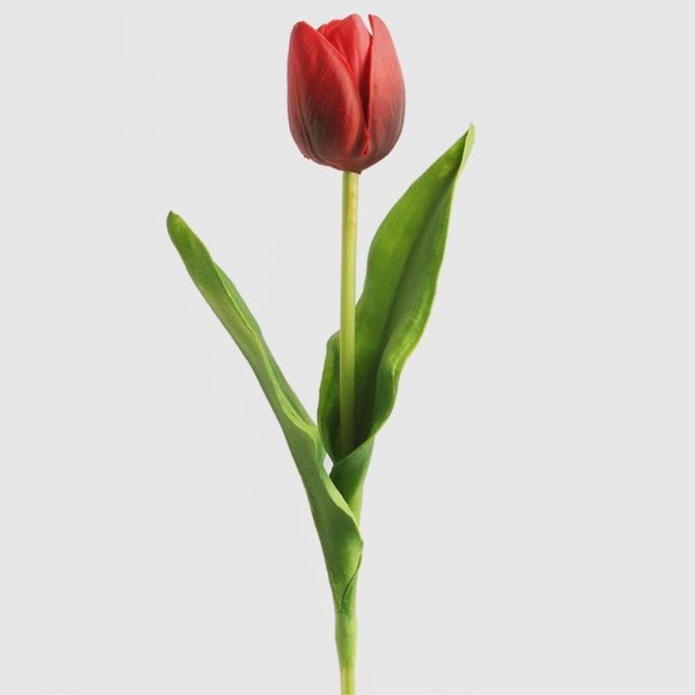 조화 이미지