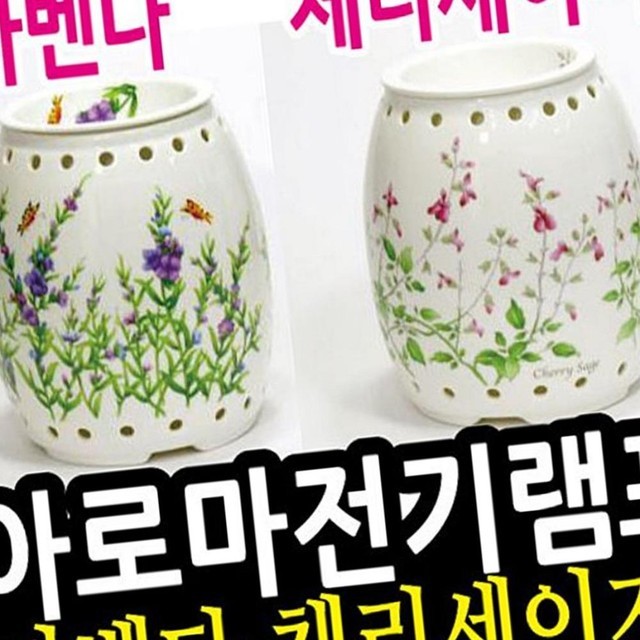 라벤다아로마 이미지