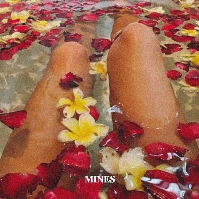 마인스 이미지