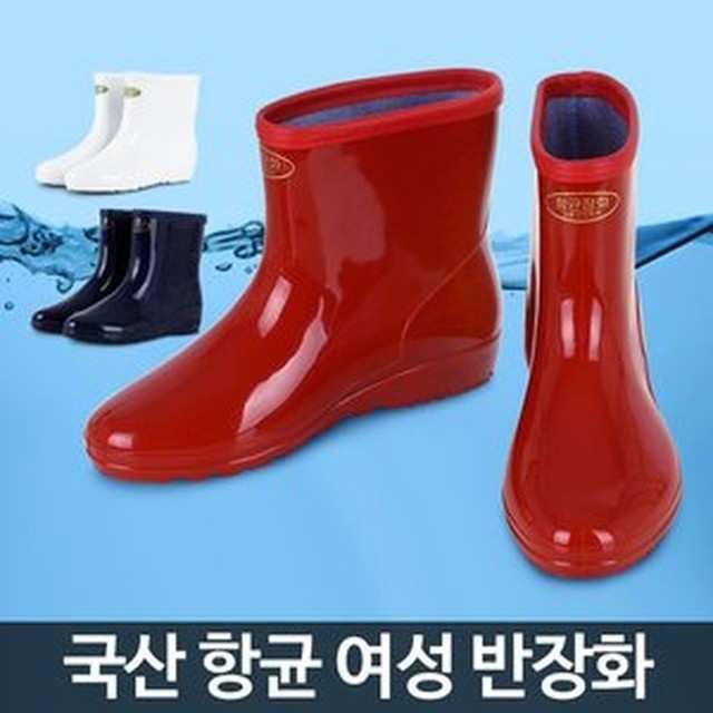 보생 이미지