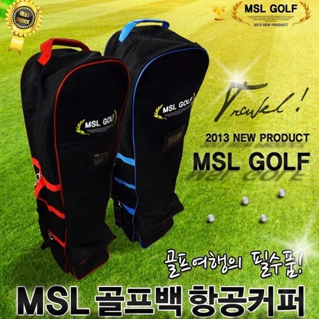 엠에스엘 이미지