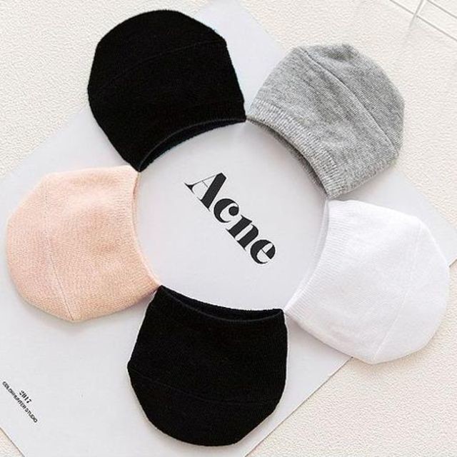 필레오 이미지