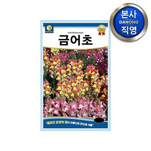 다농 이미지