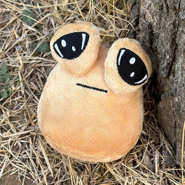 루시아이 이미지