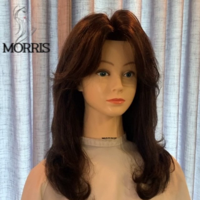 모리스 이미지