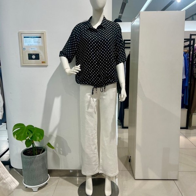 안지크 이미지
