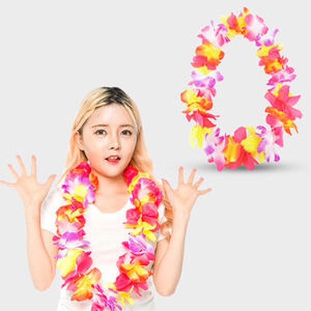 훌라훌라 이미지