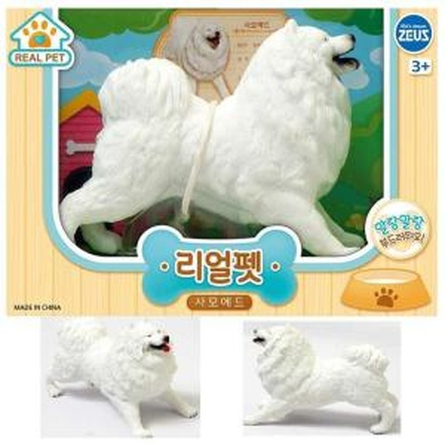 제우스 이미지