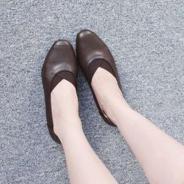 신꼬가 이미지