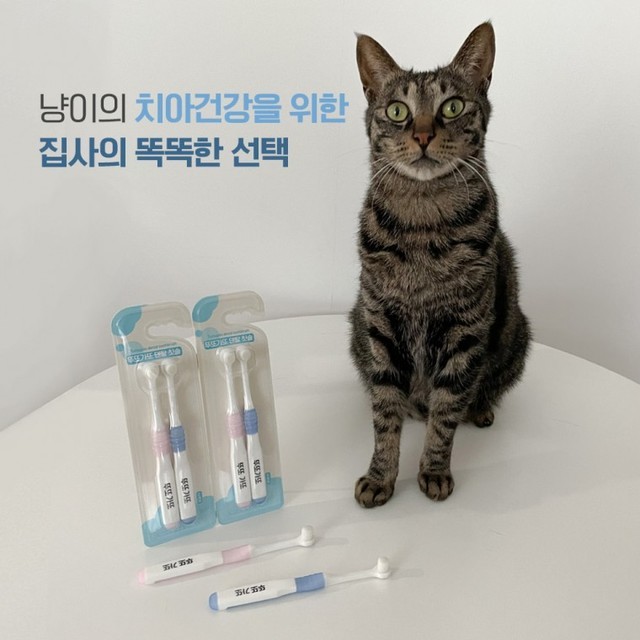 세모기획 이미지