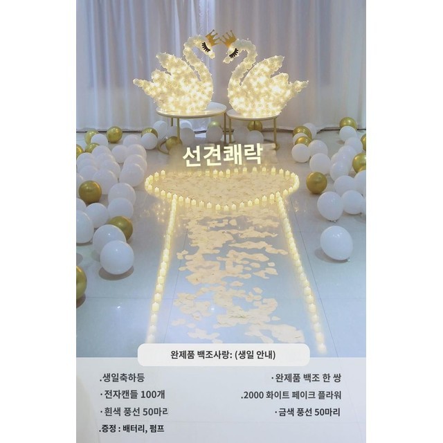 백조사 이미지