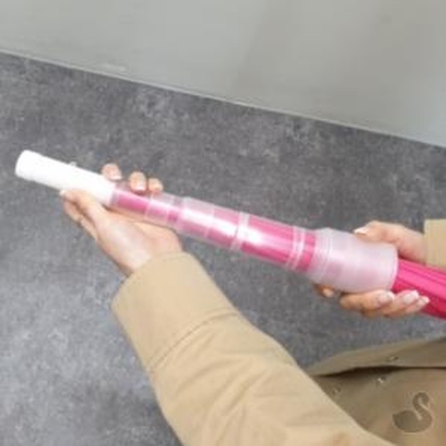 스완 이미지