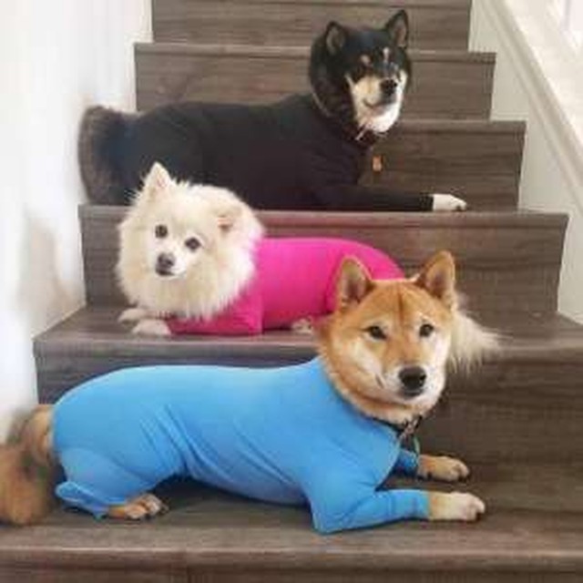 뉴터 이미지