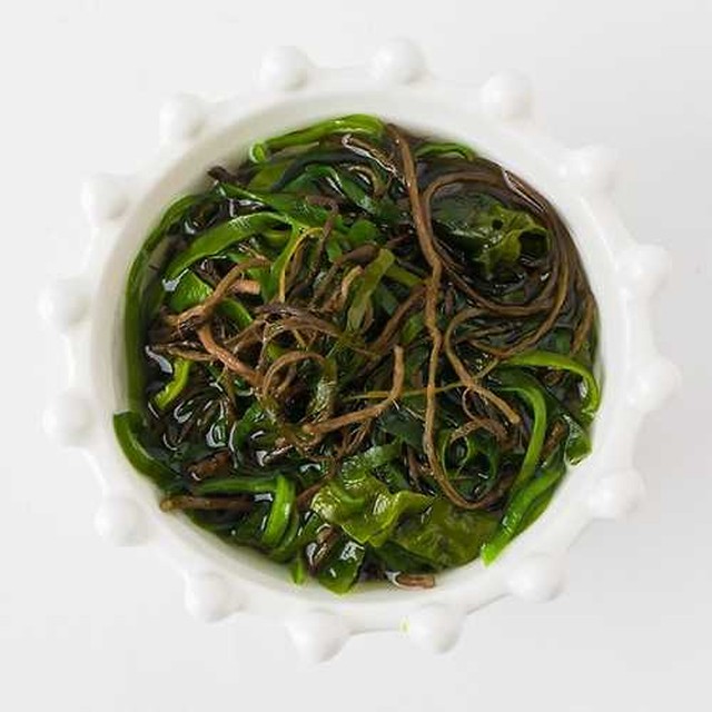 바다손애 이미지