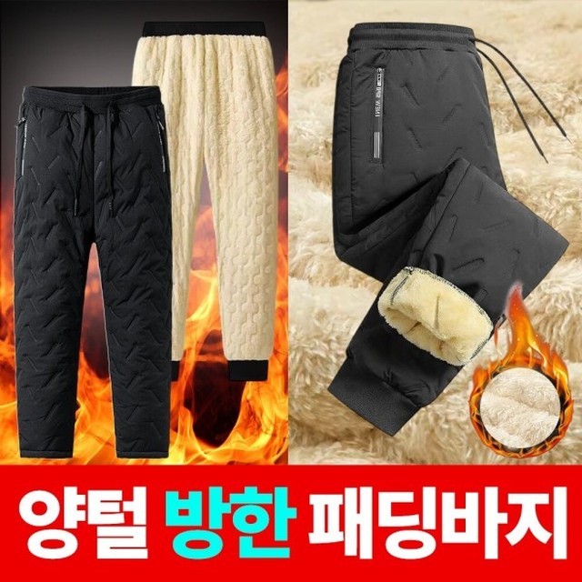 보보니 이미지