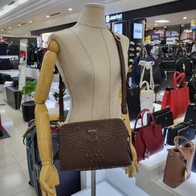 끌레르 이미지