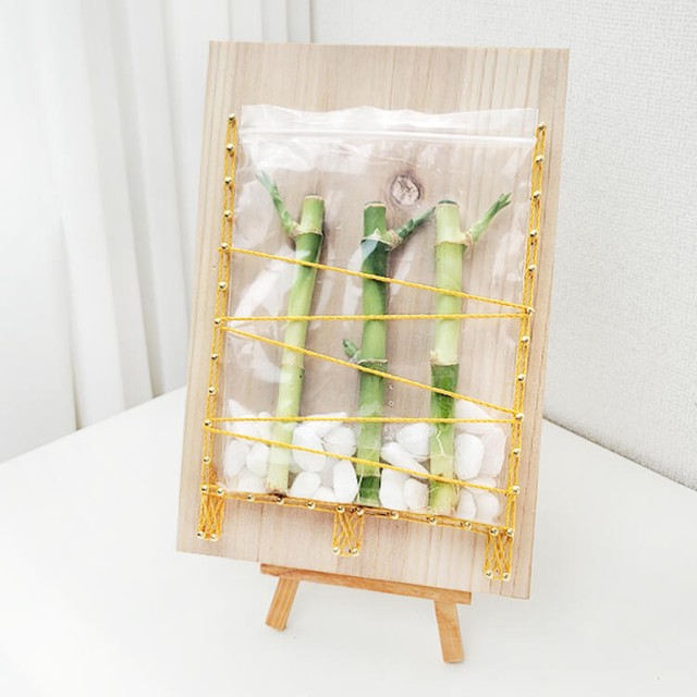 스트링 이미지