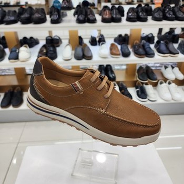 엘칸토 이미지