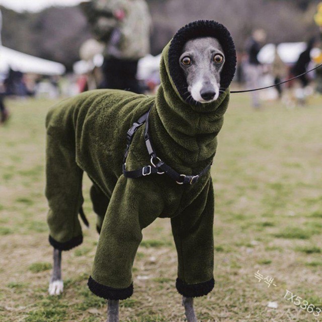 초우축산 이미지