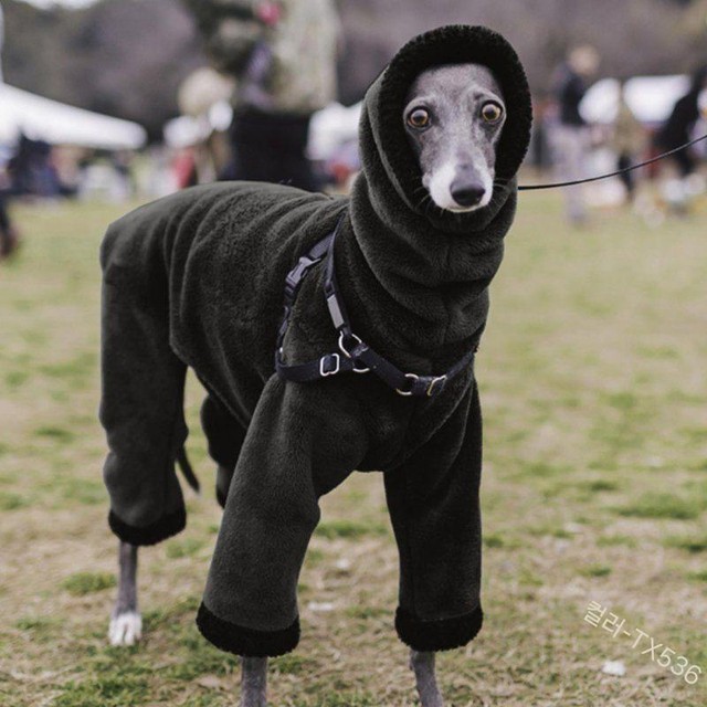 초우축산 이미지