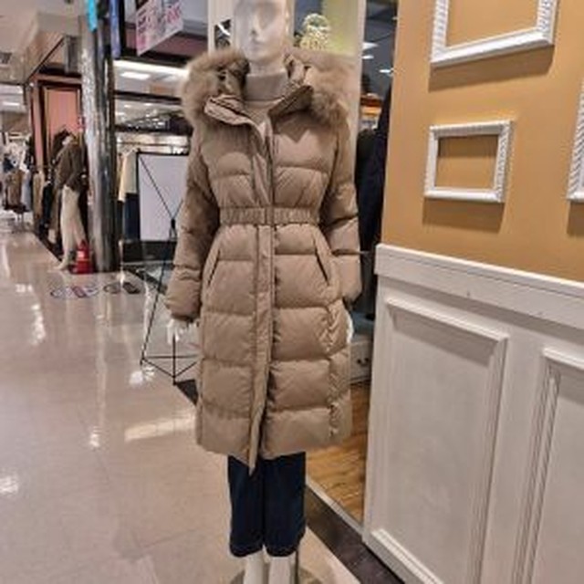 로이아 이미지