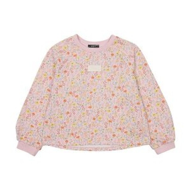 키즈66 이미지
