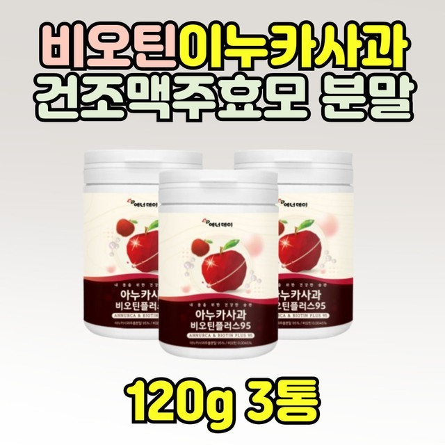 이누카 이미지