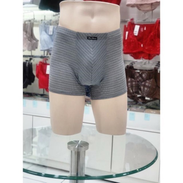 비너스슈 이미지