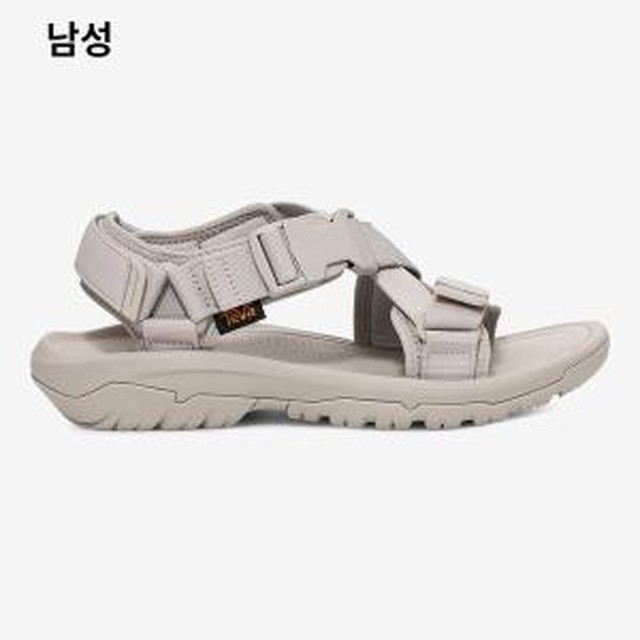 테바 이미지