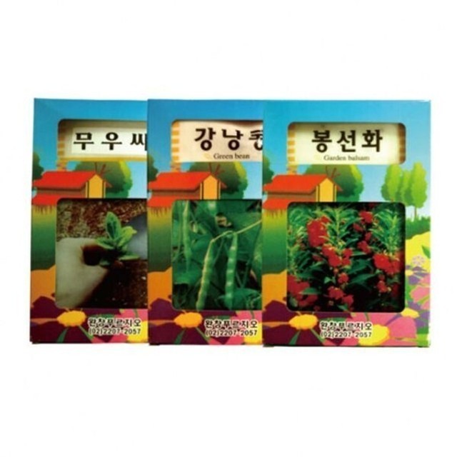 꽃씨 이미지