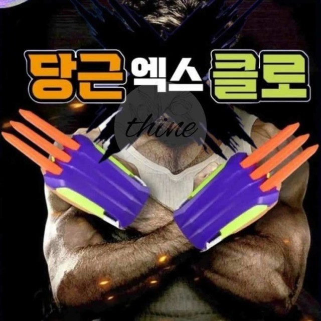 다인 이미지