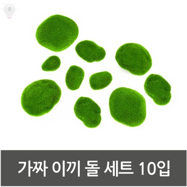 이끼와돌 이미지