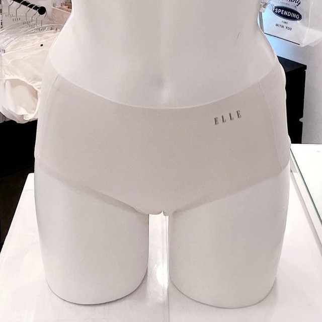 엘르이너웨어 이미지