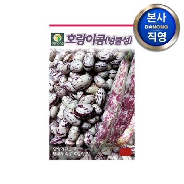 씨앗 이미지