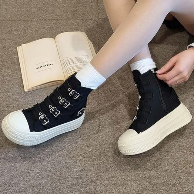 하이체리 이미지