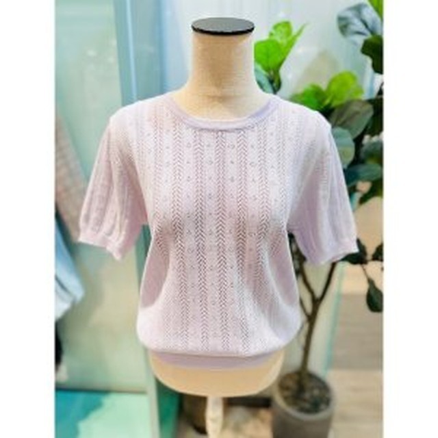 쥬디플라워 이미지