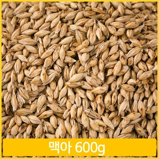 보리 이미지