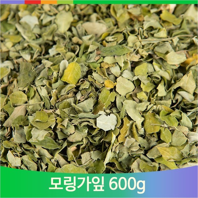 모링가 이미지