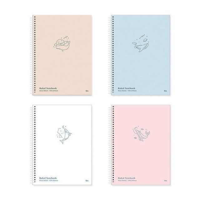 아이비스 이미지