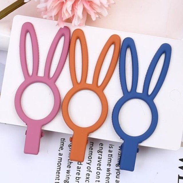 헤어레빗 이미지