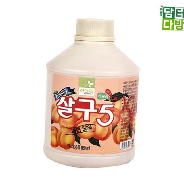 카페살구 이미지