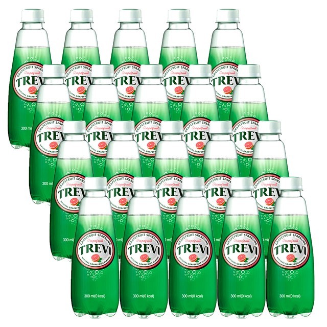 트레비 이미지