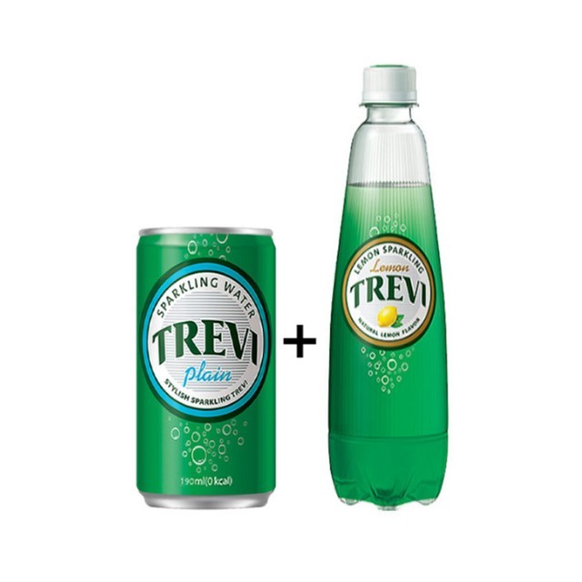 트레비 이미지